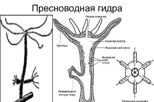 Кракен оф ссылка