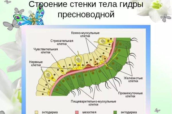 Кракен маркетплейс зайти